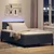 Vidaxl LED Box Spring Postelja Temno siva 120 x 190 cm Žamet