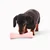 Beco Treat Bone Toy za pse roza 17,5cm