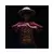 Statue One Piece - Abysse - Monkey D. Luffy
