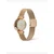 Ročna ura Daniel Wellington DW00100773 Zlata