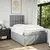 Vidaxl Boxspring postelja z vzmetnico svetlo siva 120x190 cm blago
