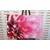 Slika cvet vrtnice - 40x30