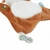 Kaloo Doudou Fawn