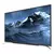 Sharp 40 LC-40CFE6352E Smart Full HD digital LED TV