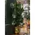 Umetna Monstera 75cm 3 stebelna - zelena - 50 do 75 cm
