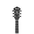 IBANEZ Hollowbody električna kitara AS53 TF ARTCORE