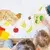 shumee Edyfico TMY102 Montessori lesena izobraževalna igrača 12 v 1