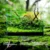 WeekAqua Ultra Clear akvarijum 45P 45x27x30cm x5mm 35L