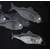 Metal majica Tool - FISH - PLASTIC HEAD - RTTOO028