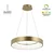 LED visilica F2049-66V SGA