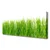 tulup.si Slika na platnu Grass nature rastlin 120x60 cm