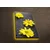 Zidna slika sa LED osvetljenjem 4570DACT-48, 45x70 cm