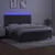 Vidaxl Box spring postelja z vzmetnico LED temno siva 180x200 cm žamet