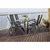 MULTIGARDEN Set od 4 sklopive baštenske stolice sa podesivim naslonom, Black