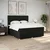 vidaXL vidaXL Box spring postelja z vzmetnico črna 180x200 cm blago, (21307460)