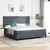 vidaXL vidaXL Box Spring Postelja z Blazino Temno Siva 200x200 cm Velur, (22050955)