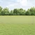 Vidaxl Varjena žičnata ograja z drogom 10 x 0,5 m (Š x V)
