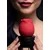 Bloomgasm Enchanted Rose 10X Clit Stimulator Red