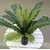 Lilum buket cikas palme, precnik 53cm
