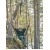 ROBENS Trace Hammock Chair