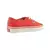 Vans  Authentic  pisana
