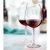 Royal Leerdam komplet 6 kozarcev za vino Bouquet 450 ml
