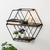 HANAH HOME Liliales