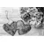 Slika potonike in brezovi srčki v črnobeli izvedbi - 30x20
