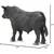 Safari Bik Angus