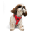 Paws & Whiskers Am za pse Air-Mesh, Crveni