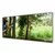 tulup.si Slika na akrilnem steklu Parrot tree narava 125x50 cm 4 obešalnika