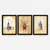 Wallity Set uramljenih slika 3SC17, 3 Dela