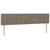Vidaxl Box spring postelja z vzmetnico taupe 200x200 cm blago