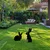 Aberto Design Set dekorativnih figura Rabbits -A 01, 52x35 & 56x24 cm, 2 komada