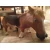 Horse Mask