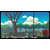 A Space For The Unbound - Special Edition (SWITCH)