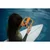 shumee Standardni dron HOVERAir AQUA