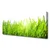 tulup.si Slika na platnu Grass nature rastlin 125x50 cm