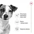 Royal Canin Mini Adult - 4 kg
