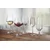 Bohemia Crystal Kozarec za belo vino 360 ml, komplet 6/1, STRIX