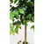 Umetno drevo fikusa Benjamin PREMIUM 150 cm