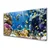 tulup.si Steklena slika Barrier reef narava 100x50 cm 2 obešalnika