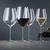 Kozarec za šampanjec HI-LITE 347 ml, set 4 kosov, Spiegelau