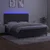 Vidaxl Box spring postelja z vzmetnico LED temno siva 180x200 cm žamet