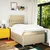 vidaXL vidaXL Box spring postelja z vzmetnico krem 120x190 cm blago, (21305570)