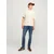 JACK & JONES Muške farmerke 12259084, Teksas plave