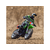 Losi Moto-MX 1:4 RTR Pro Circuit