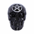 Dekoracija Black Magic - B5965V2
