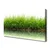 tulup.si Slika na platnu Grass nature rastlin 140x70 cm