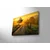 Wallity Slika sa LED osvetljenjem 4570DHDACT-005, 45x70 cm
